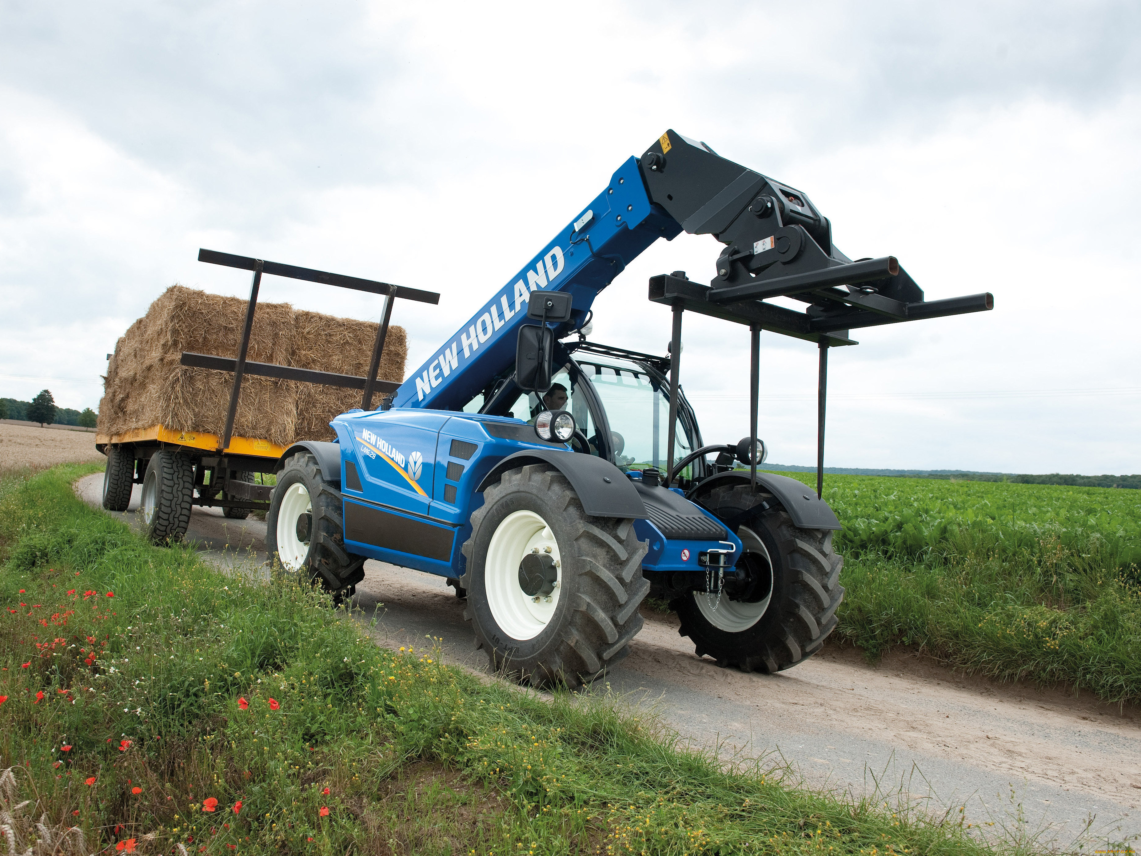 ,  , new, holland